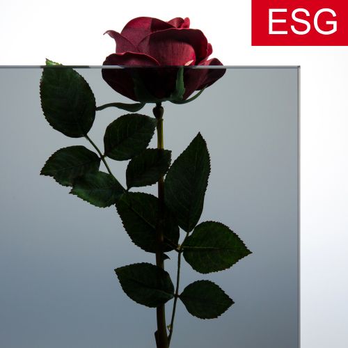 Parsol-Grau Glas als ESG - Sicherheitsglas  Vorschaubild #2
